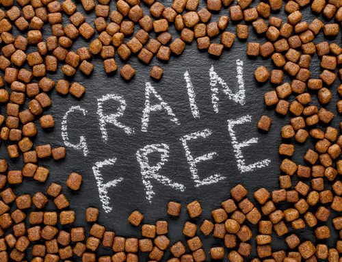 Grain Free Diets Tufts
