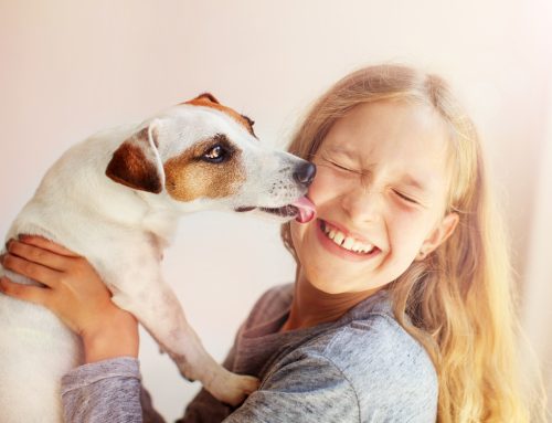 9 Tips to Keep Children Safe Around Pets