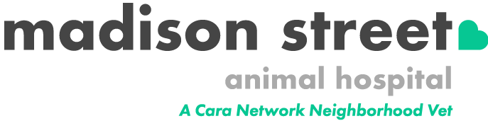 Madison Street Animal Hospital - service preview