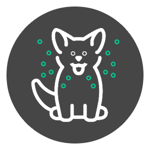 Pet parasite prevention icon supporting year-round parasite protection